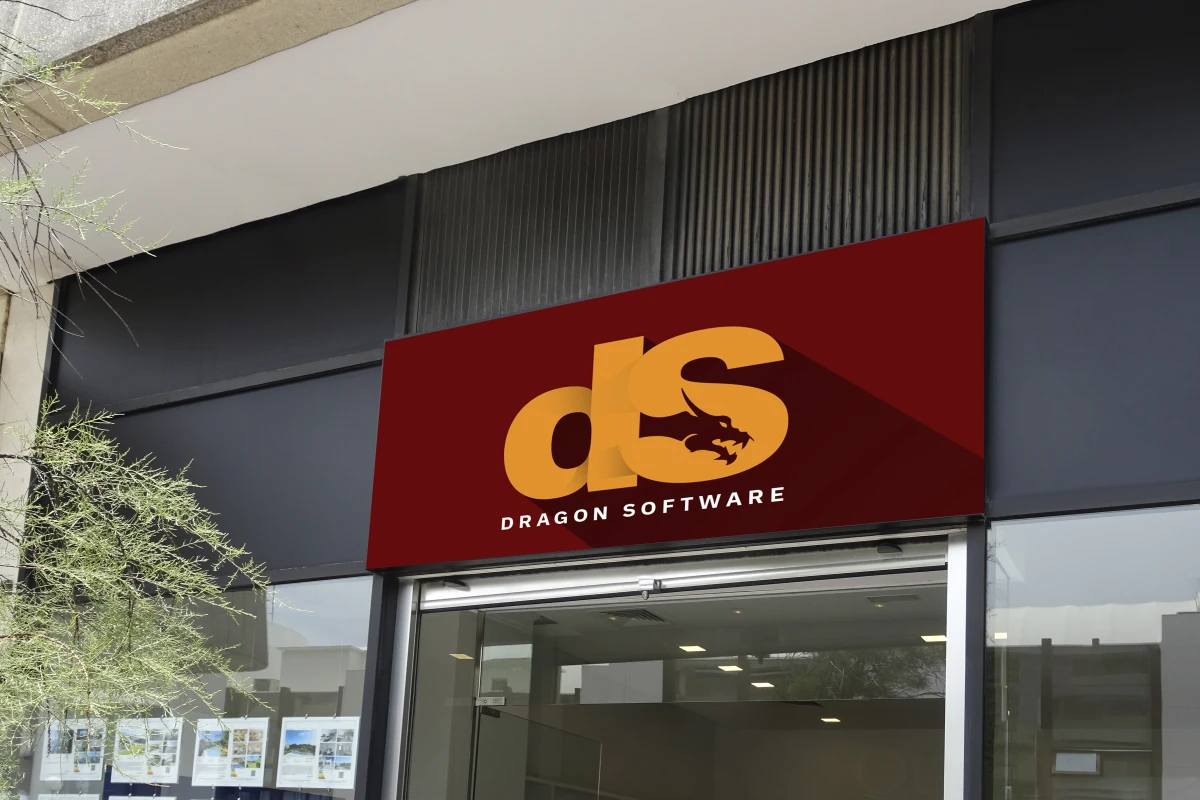 DS Company
